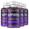 Elderberry Gummies - Daily Immune Support with Vitamin C & Zinc - 4 Pack (240 Count Tot.) Kids & Adults
